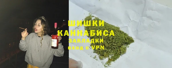 ECSTASY Дмитриев